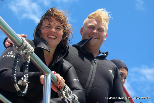 Shark Cage Diving