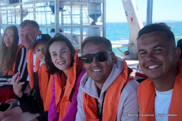 shark cage diving, South Africa