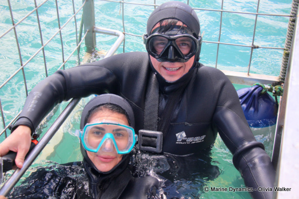 Shark Cage Diving, South Africa