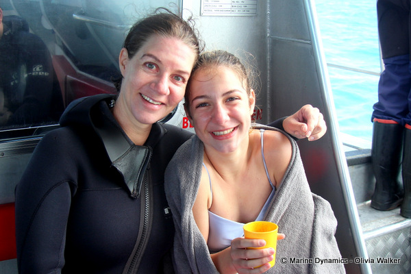Shark Cage Diving, South Africa