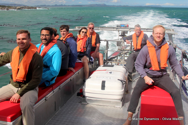 Shark Cage Diving, South Africa