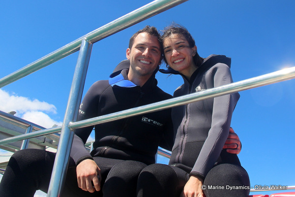 shark cage diving, South Africa