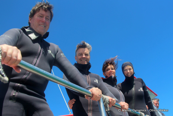 shark cage diving, South Africa