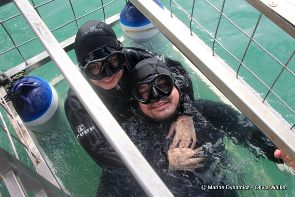 Shark Cage Diving, South Africa