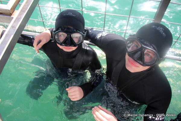 Shark Cage Diving, South Africa