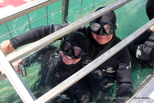 Shark Cage Diving, South Africa