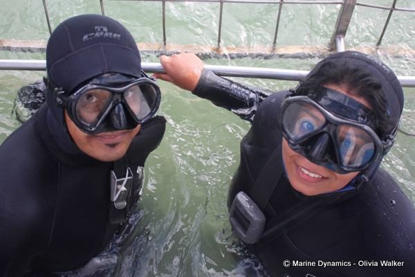 shark cage diving, South Africa