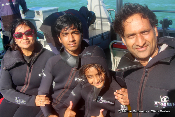 Shark Cage Diving, South Africa