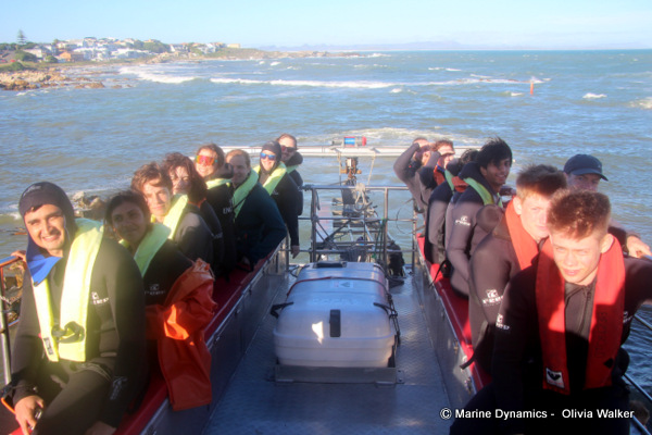 Shark Cage Diving, South Africa