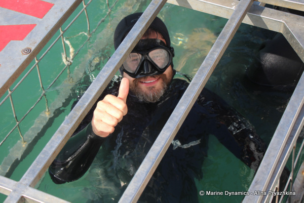 GAnsbaai South africa, shark cage diving