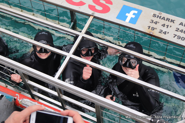 Shark Cage Diving, South Africa