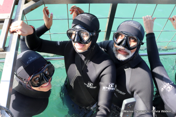 Shark Cage Diving, South Africa
