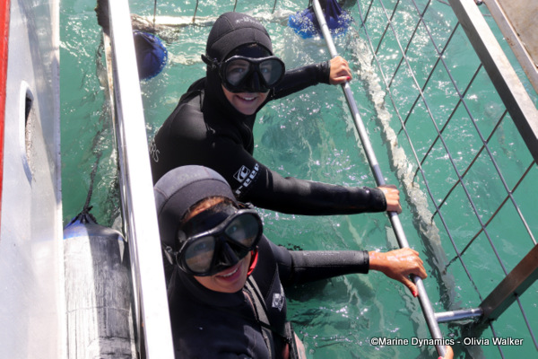 Shark Cage Diving, South Africa