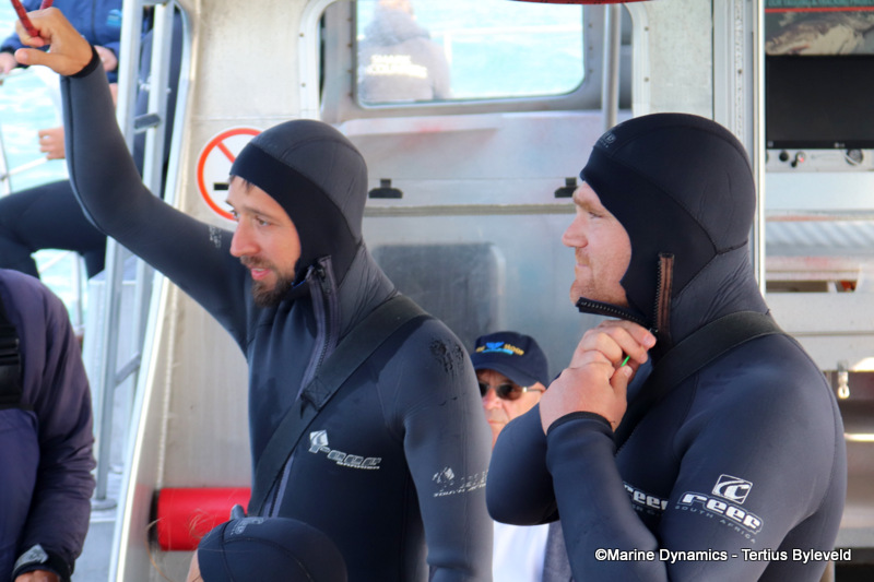 Shark Cage Diving, South Africa
