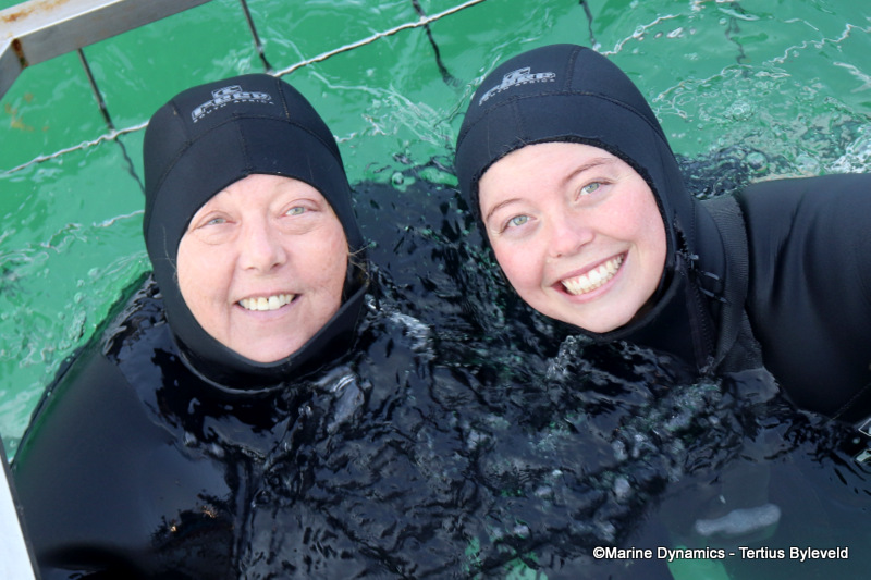 Shark Cage Diving, South Africa