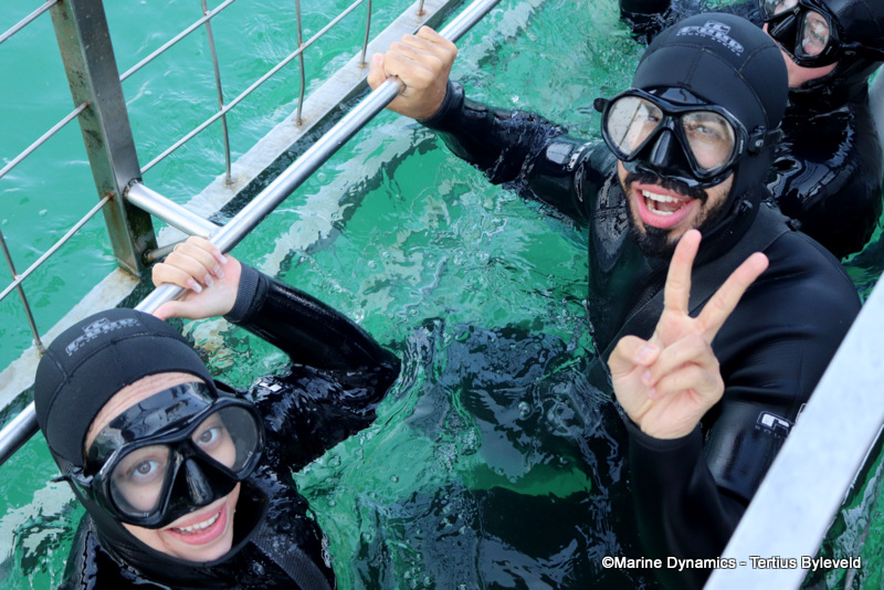 Shark Cage Diving, South Africa
