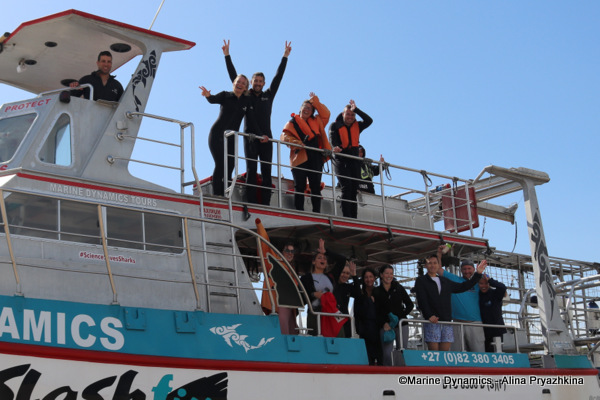 Shark cage diving