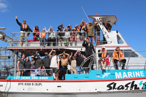 Shark Cage Diving, South Africa