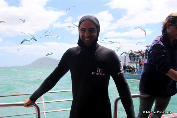 Shark Cage Diving, South Africa