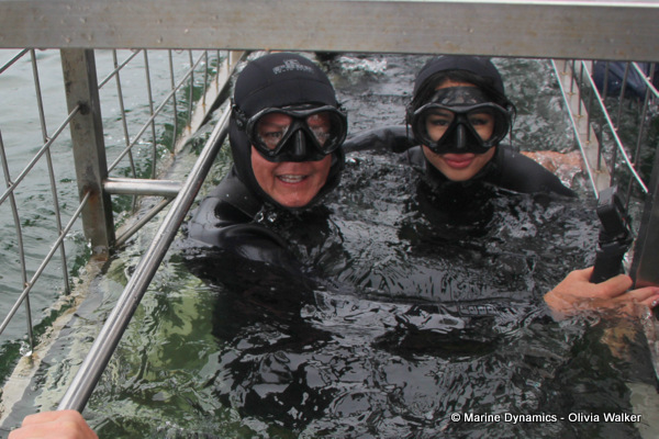 Shark Cage Diving, South Africa