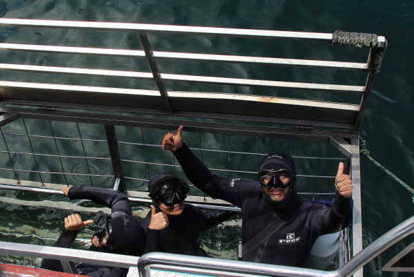Shark Cage Diving, South Africa