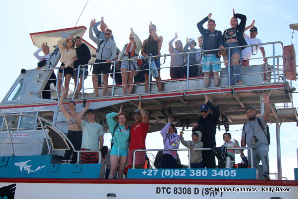 Shark Cage Diving, South Africa