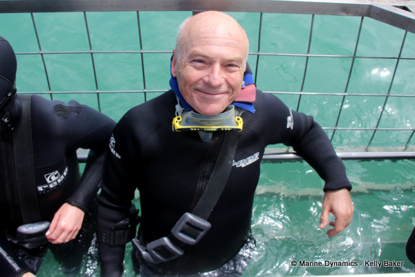 Shark cage diving, South Africa