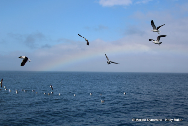 Gansbaai, South Africa