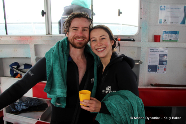 Shark cage diving, South Africa