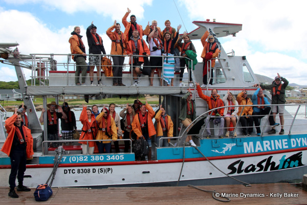Shark cage diving, South Africa