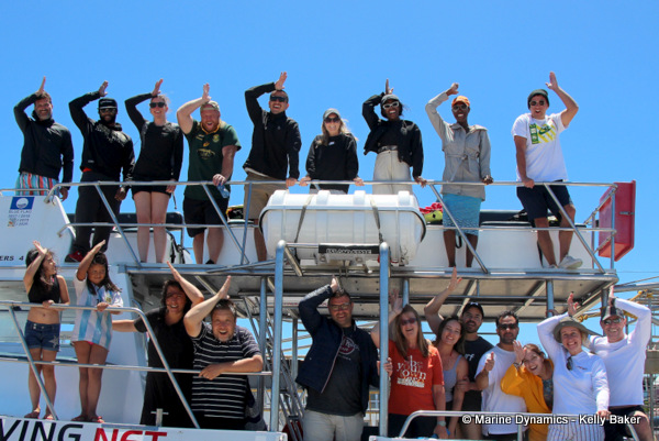 Shark Cage Diving, South Africa