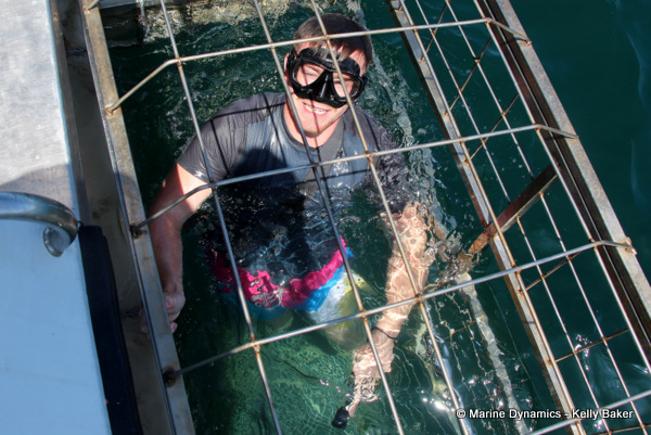 Shark cage diving, South Africa
