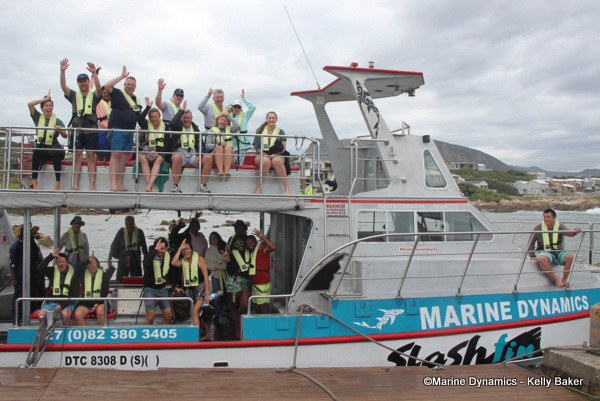 Shark Cage Diving, South Africa