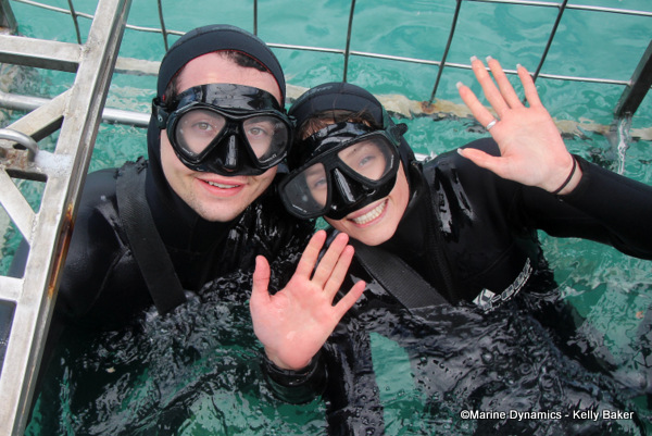Shark cage diving, South Africa