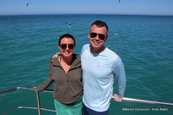 Shark cage diving, South Africa