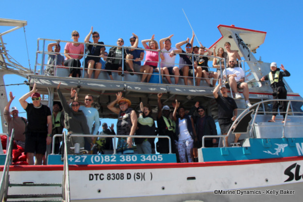 Shark cage diving, South Africa