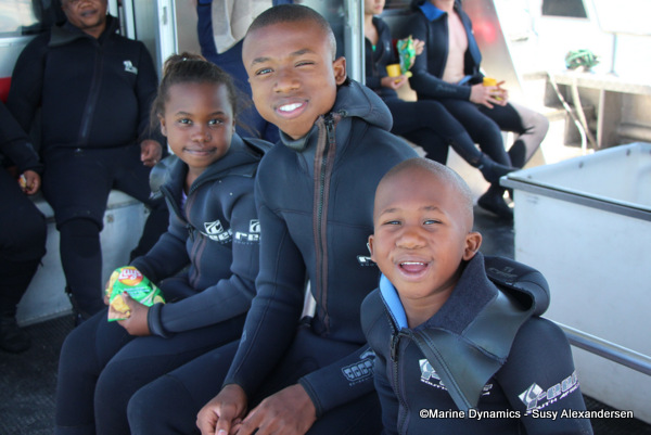 Shark cage diving, South Africa