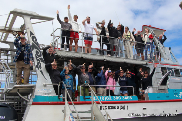 Shark cage diving, South Africa