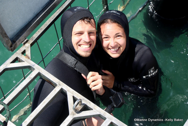 Shark cage diving, South Africa