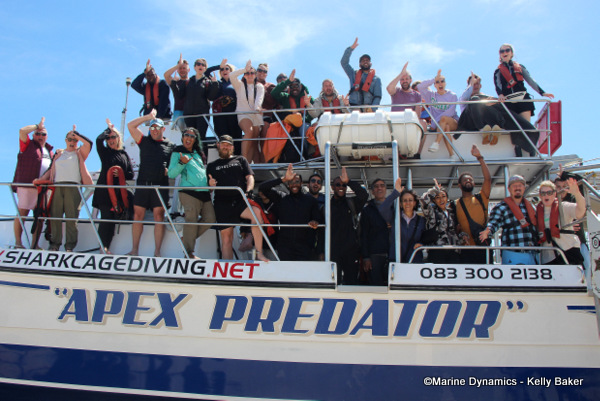 Shark cage diving, South Africa