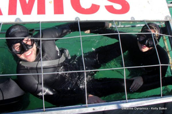 Shark cage diving, South Africa