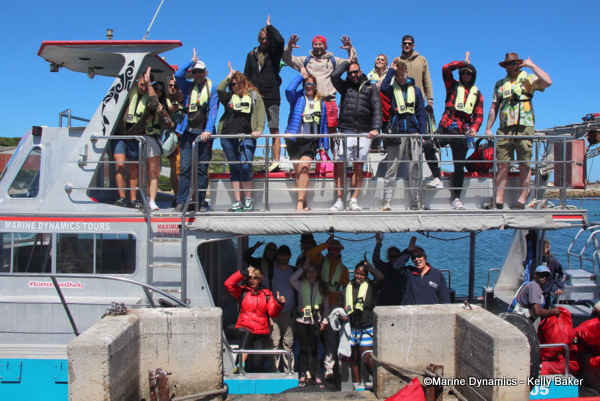 Shark cage diving, South Africa