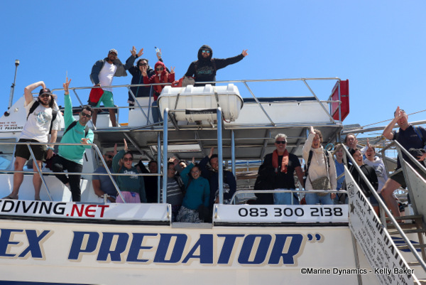 Shark cage diving, South Africa
