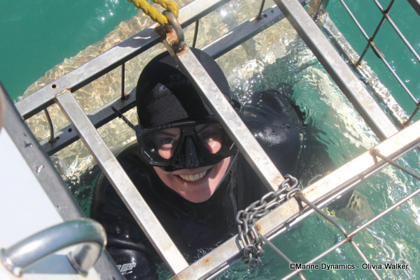 Shark Cage Diving, South Africa