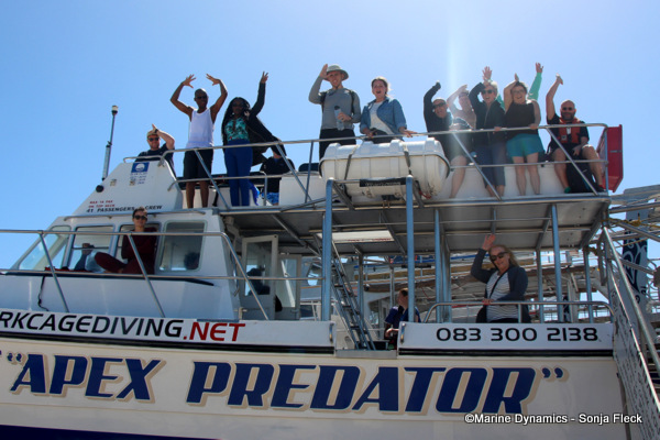 Shark Cage Diving, South Africa