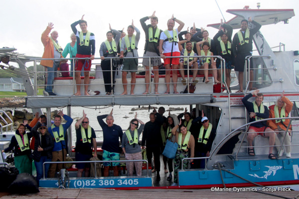 Shark cage diving, South Africa
