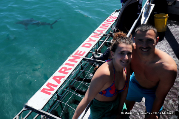 Shark Cage Diving, South Africa