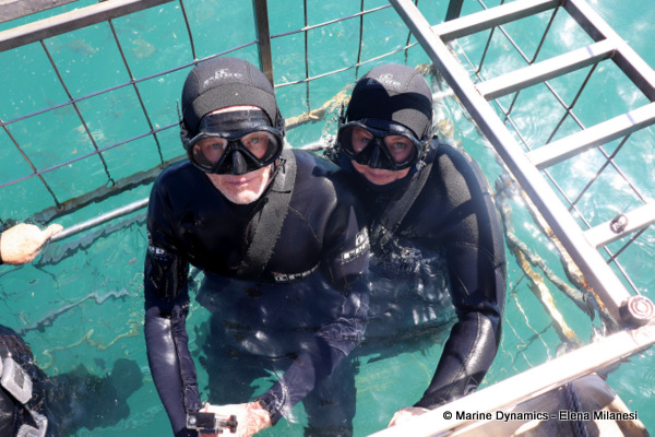 Shark Cage Diving, South Africa