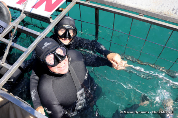 Shark Cage Diving, South Africa