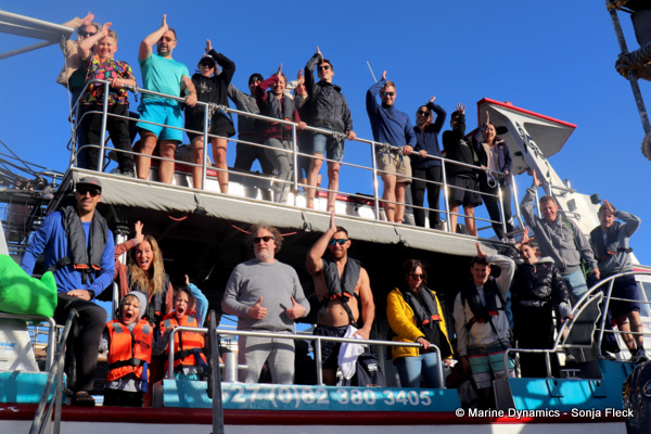 Shark cage diving, South Africa